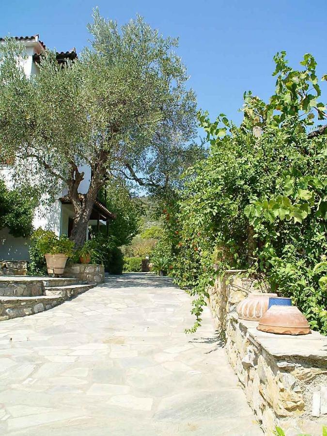 Marlitsis Apartments & Studios Skopelos Dış mekan fotoğraf